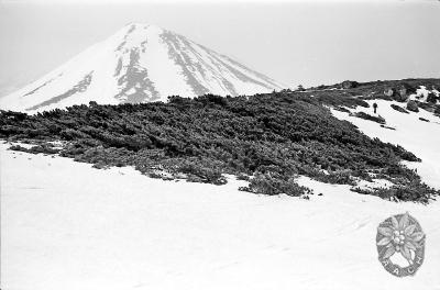 大サイズの画像を表示するにはログインが必要です