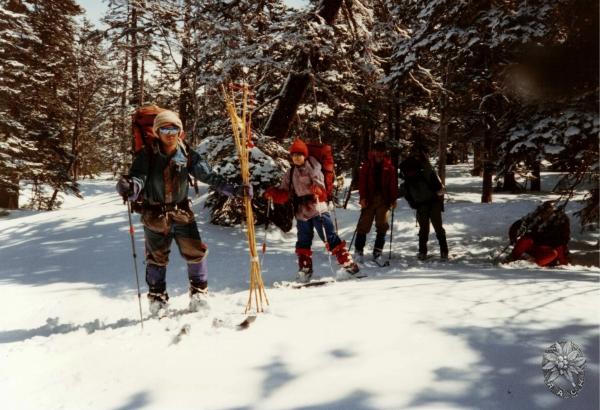 大サイズの画像を表示するにはログインが必要です