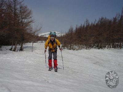 大サイズの画像を表示するにはログインが必要です