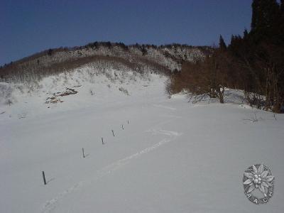 大サイズの画像を表示するにはログインが必要です