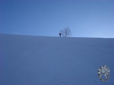 大サイズの画像を表示するにはログインが必要です