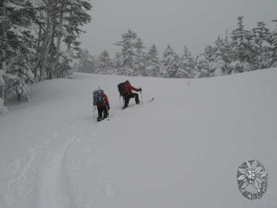 大サイズの画像を表示するにはログインが必要です