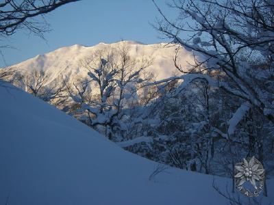 大サイズの画像を表示するにはログインが必要です