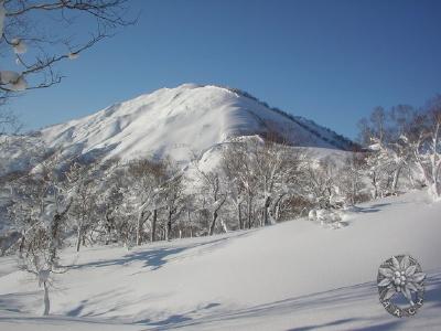 大サイズの画像を表示するにはログインが必要です