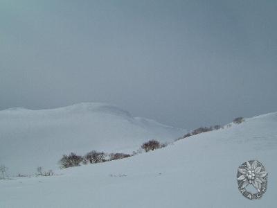 大サイズの画像を表示するにはログインが必要です