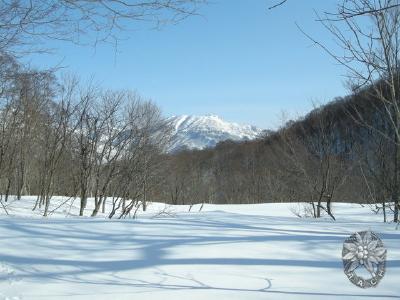 大サイズの画像を表示するにはログインが必要です