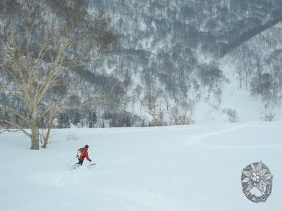 大サイズの画像を表示するにはログインが必要です