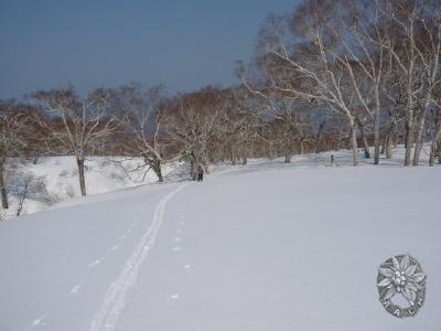 大サイズの画像を表示するにはログインが必要です