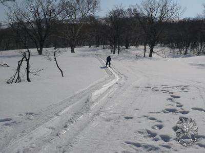 大サイズの画像を表示するにはログインが必要です