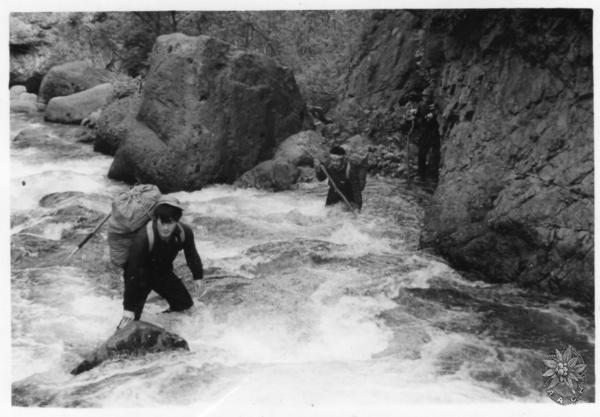 大サイズの画像を表示するにはログインが必要です