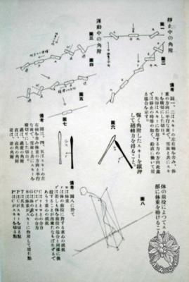 大サイズの画像を表示するにはログインが必要です