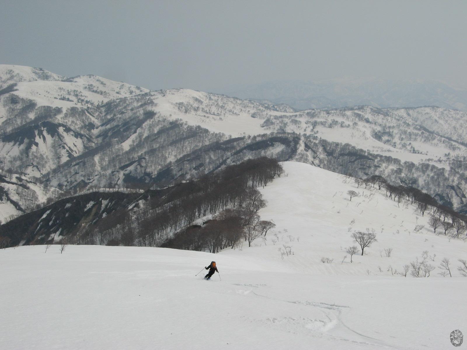 /home/sawagaki/0g0.jp/public_html/aach.ees//cpg/albums/userpics/10004/011.jpg