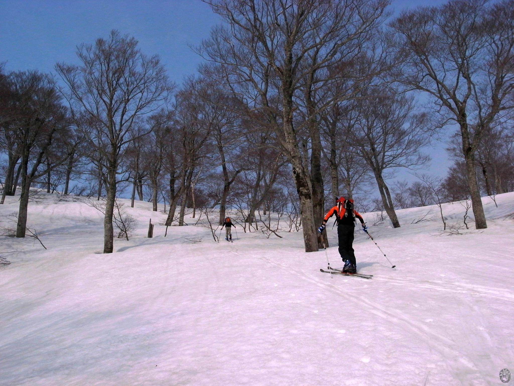 /home/sawagaki/0g0.jp/public_html/aach.ees//cpg/albums/userpics/10004/018.jpg