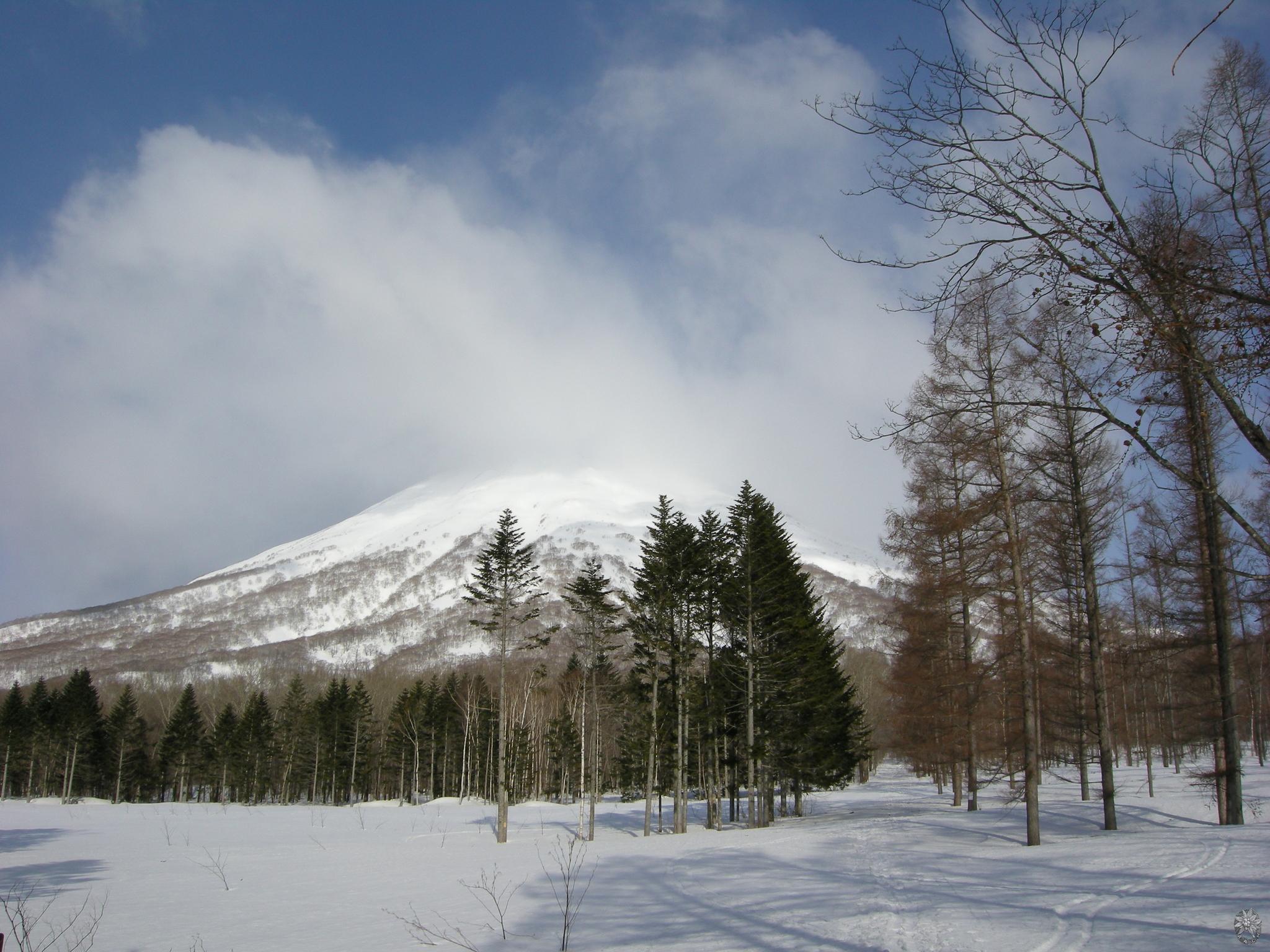/home/sawagaki/0g0.jp/public_html/aach.ees//cpg/albums/userpics/10004/DSCN2158.jpg