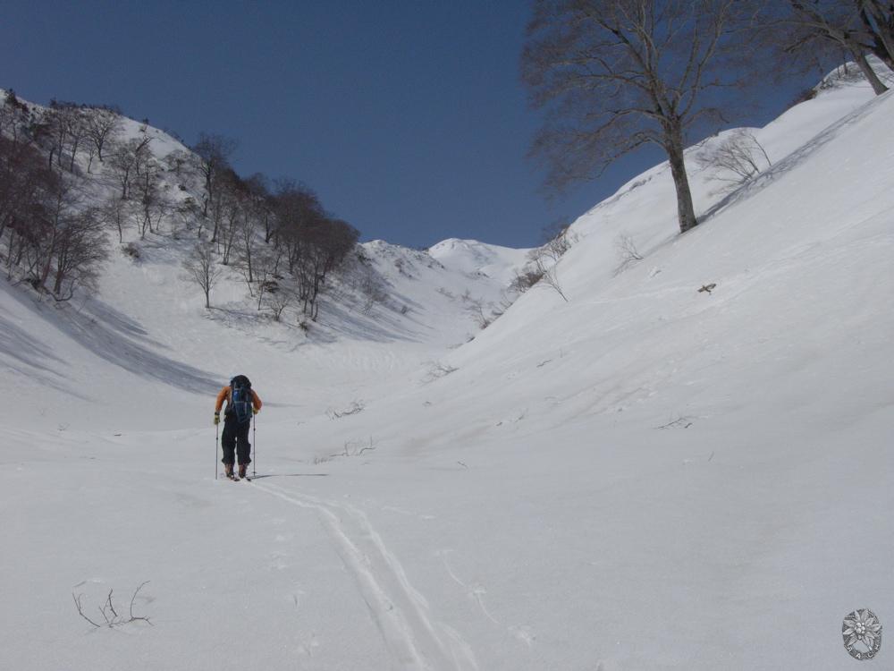 /home/sawagaki/0g0.jp/public_html/aach.ees//cpg/albums/userpics/10004/RIMG0144.jpg