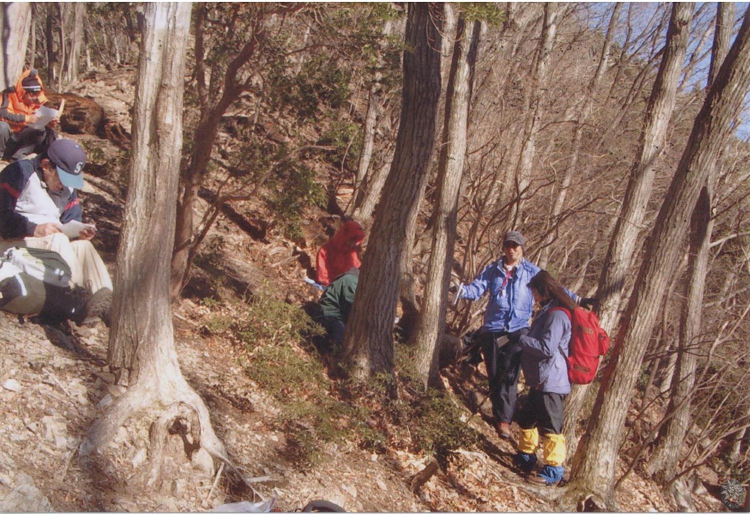 /home/sawagaki/0g0.jp/public_html/aach.ees//cpg/albums/userpics/10004/Scan10009.jpg