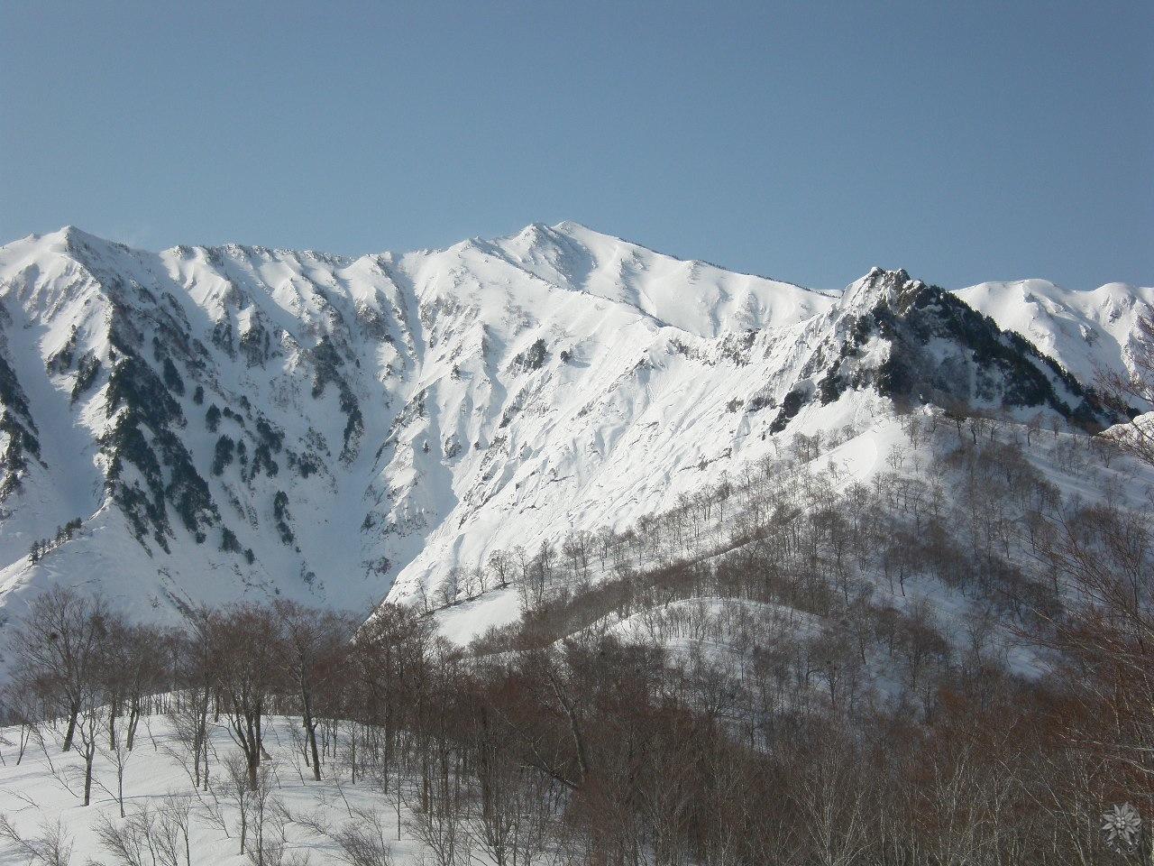 /home/sawagaki/0g0.jp/public_html/aach.ees//cpg/albums/userpics/10004/arasawa.jpg