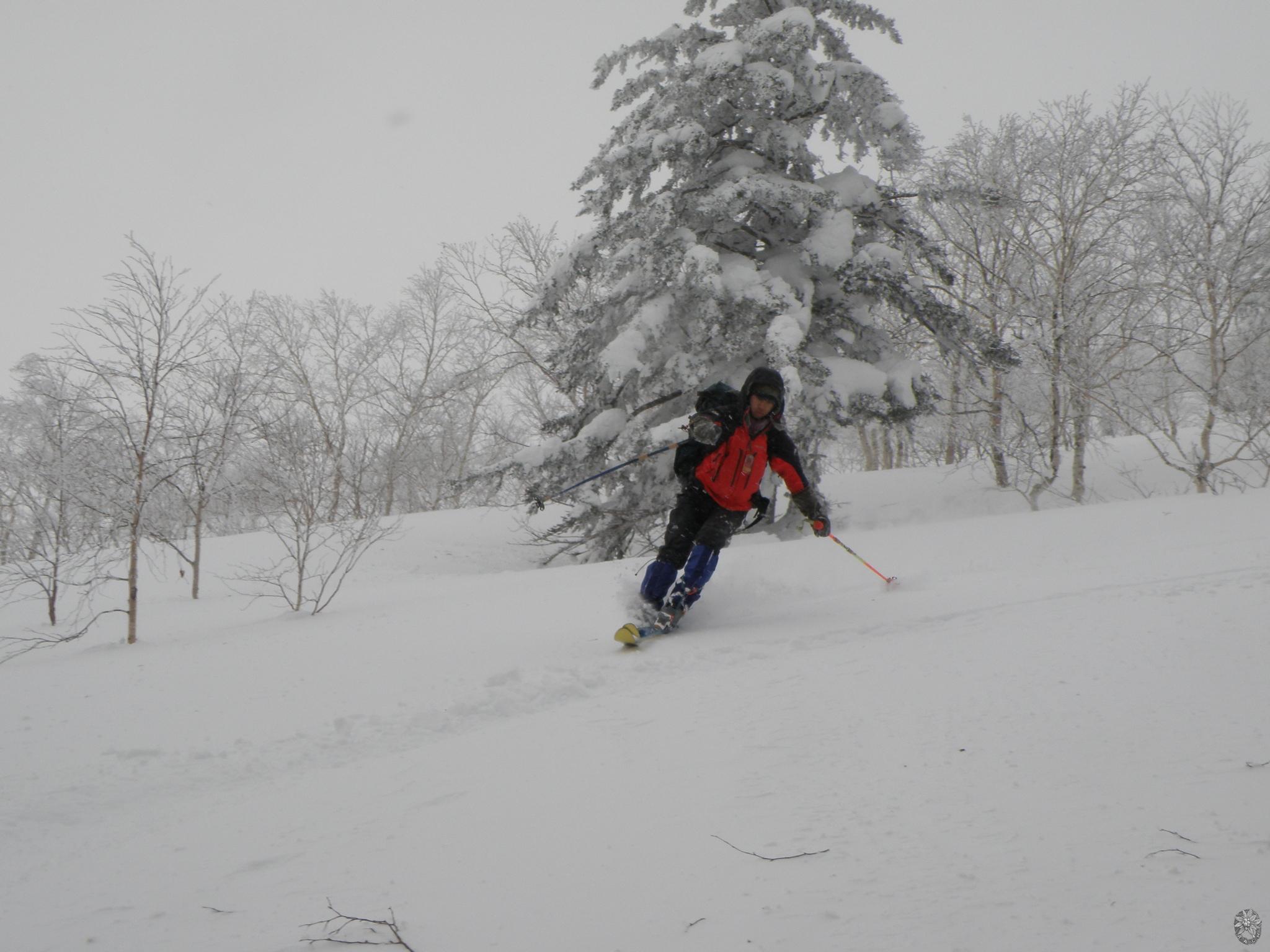 /home/sawagaki/0g0.jp/public_html/aach.ees//cpg/albums/userpics/10004/kasimaa.jpg