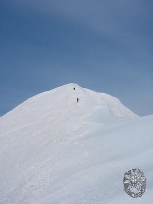 大サイズの画像を表示するにはログインが必要です