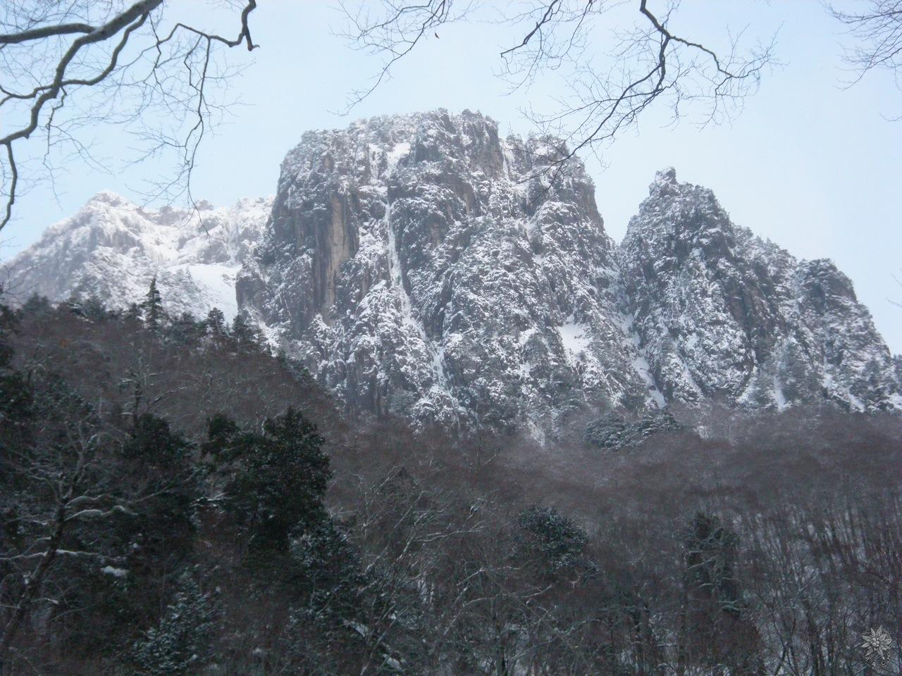 /home/sawagaki/0g0.jp/public_html/aach.ees//cpg/albums/userpics/10004/syakukabe.jpg