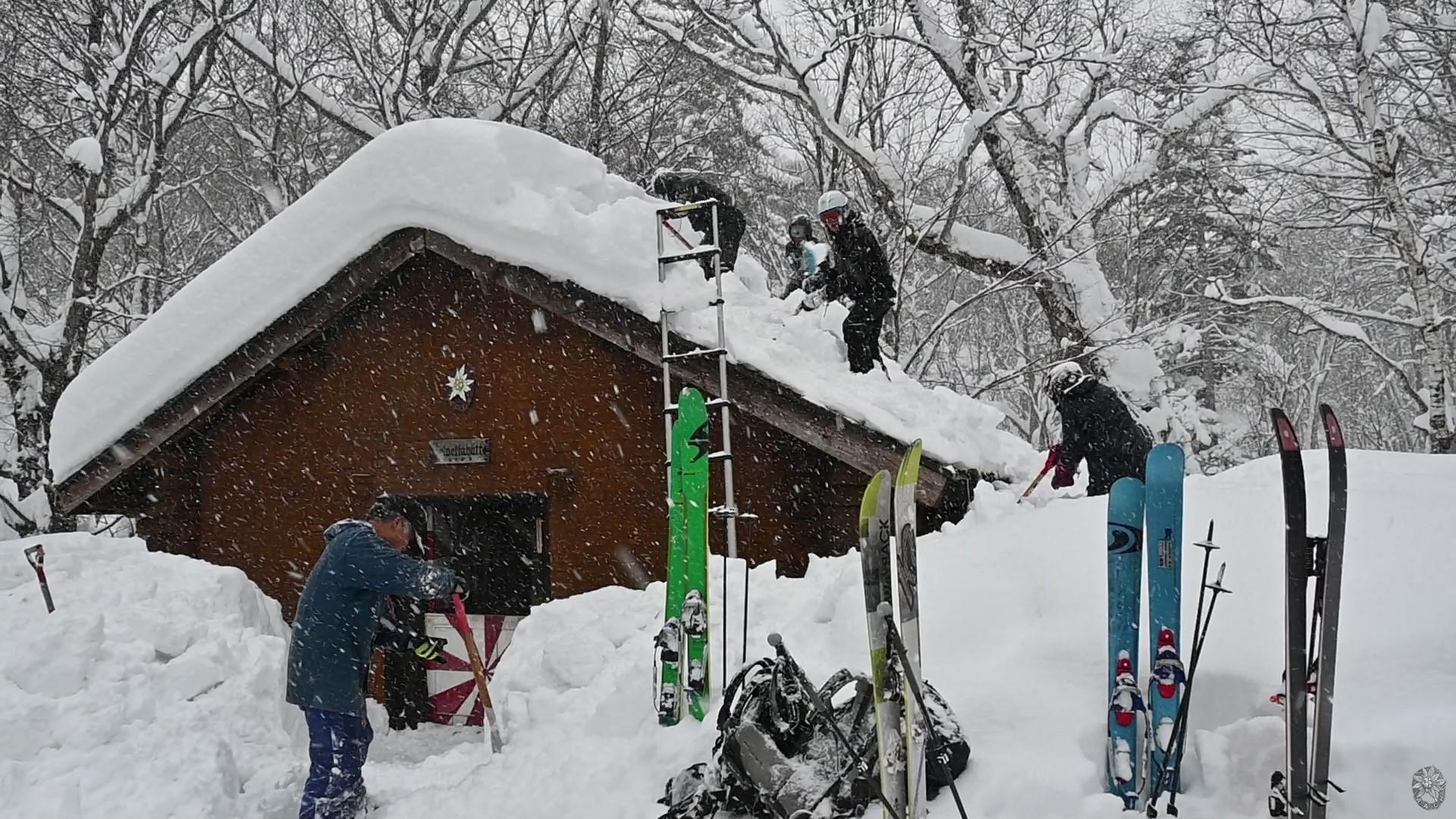 /cpg/albums/userpics/10006