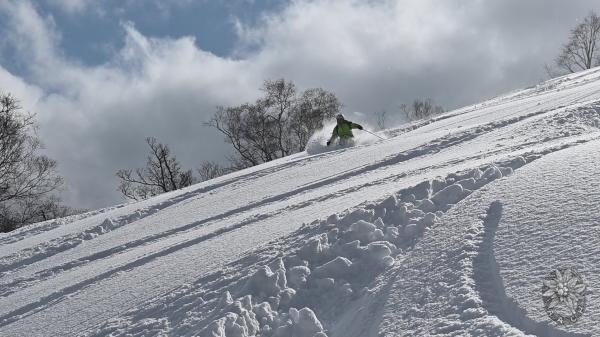 大サイズの画像を表示するにはログインが必要です