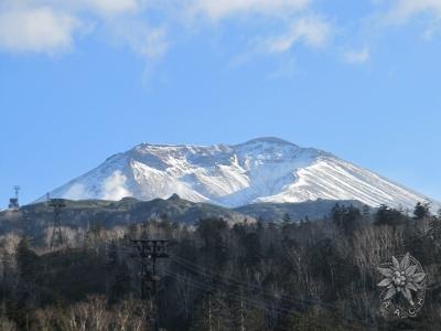 大サイズの画像を表示するにはログインが必要です