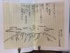 IMG-7835.jpg