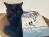 IMG_1810.jpeg