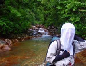 白水川~無意根山