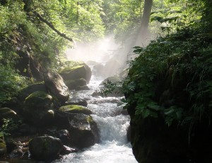 2011年度1年班沢メイン in 知床
