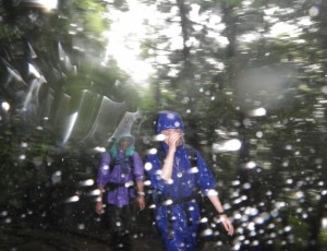 9/19(1-0)    屋久島・縄文杉