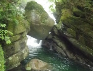 9/24-25(2-0)    屋久島・黒味川・メンガクボ