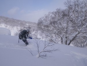 1/13(1-0)   羊蹄山・喜茂別コース・バックカントリー <動画あり>