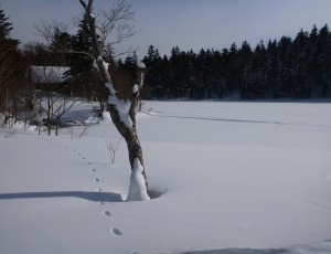 1年目山行 空沼岳
