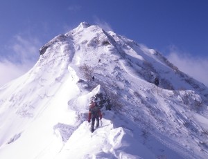 2/29-3/6(6-1)  春メイン 39成功23敗退
