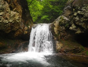 2012/6/23-24(2-0)        漁川~漁岳~オコタンペ湖