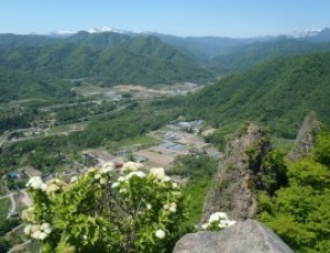 6/3(1-0) 八剣山夏道