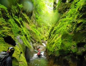 2012/7/22(1-0) 層雲峡・荒井川 (電気の沢)
