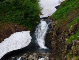 2012/6/16-17(2-0)伊佐内川~大滝川