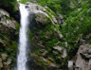 2012/6/30-7/1(2-0)浄瑠璃沢〜平田内川