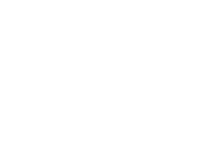 【計画】2012年度春メイン1年班本州 北ノ俣岳~黒部五郎岳~三俣蓮華岳~ 西鎌尾根~槍ヶ岳