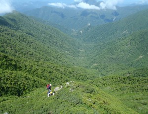 2013/7/13-14(2-0)野塚川オムシャ北面沢~オムシャ~十勝岳北西面左股沢~十勝岳