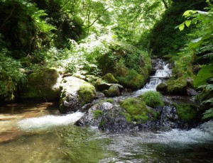 2013/8/3-4(2-0) シロチノミ川~十勝岳~十勝岳北西面下降