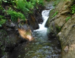 2013/7/20(1-0)発寒川