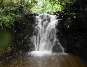 2013/7/28(1-0) 狭薄沢~狭薄山~蝦蟇沢