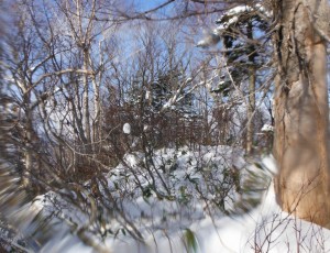 2013/12/8(1-0) 股下山