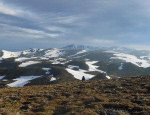 2014.6.5~6.7  6月山行 黒岳~トムラウシ