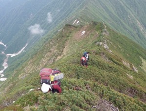2014.6.4~7(4-0) 6月山行  ペテガリ岳~ルベツネ山~1599~ヤオロマップ岳 ~コイカクシュサツナイ岳