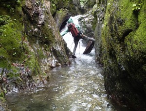 大平ヒヤミズ沢